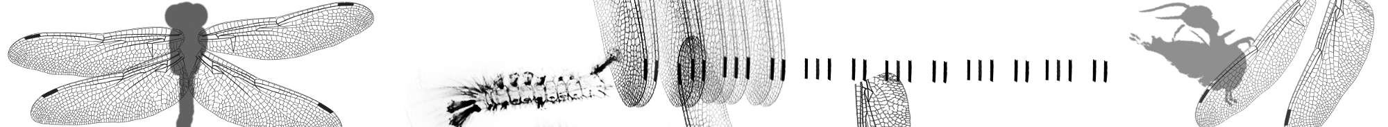 Anophelarium - logo